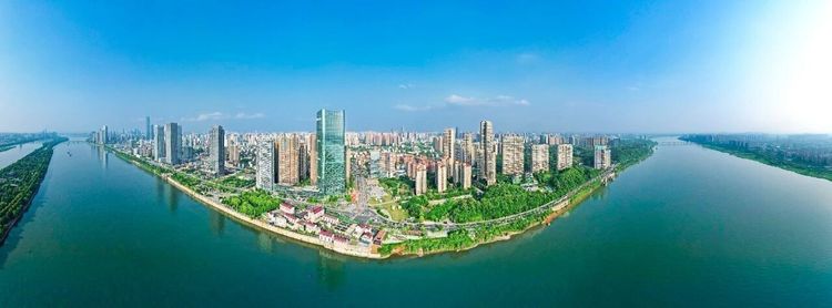转载|天心区委书记周志军:向南而立,向新而行